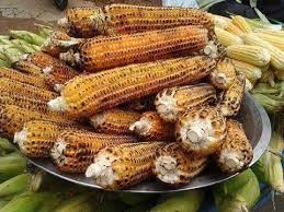 Sweet Corn: Essential Component Of Traditional Sudanese Dishes